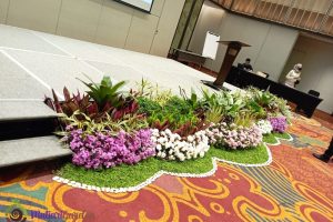 mini garden panggung