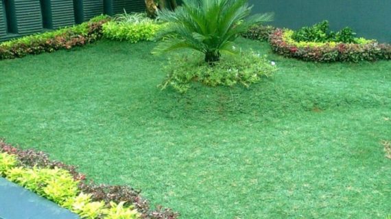Harga Jasa Pembuatan Taman per m2