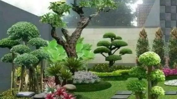 Jasa Pembuatan Taman
