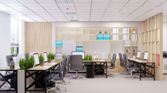 10 Jenis Tanaman Indoor yang Membuat Ruangan Lebih Hidup