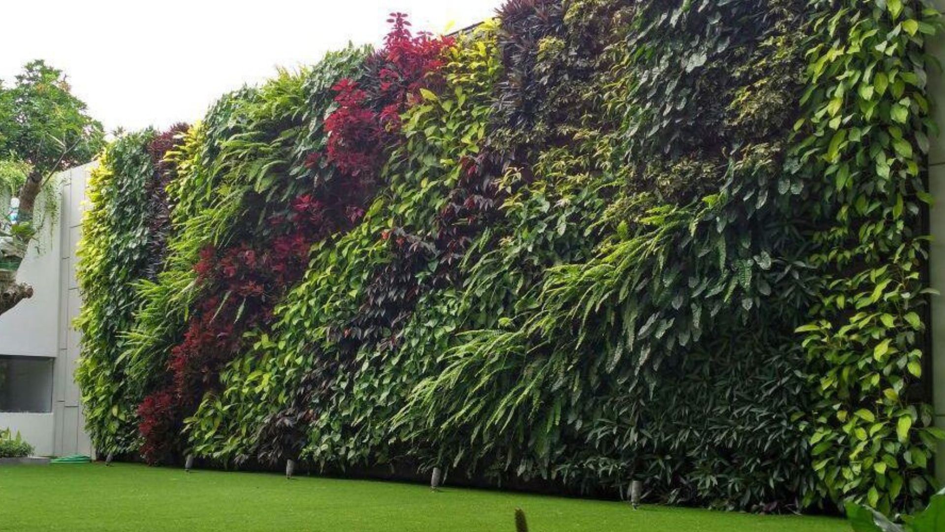 Vertical Garden Sederhana