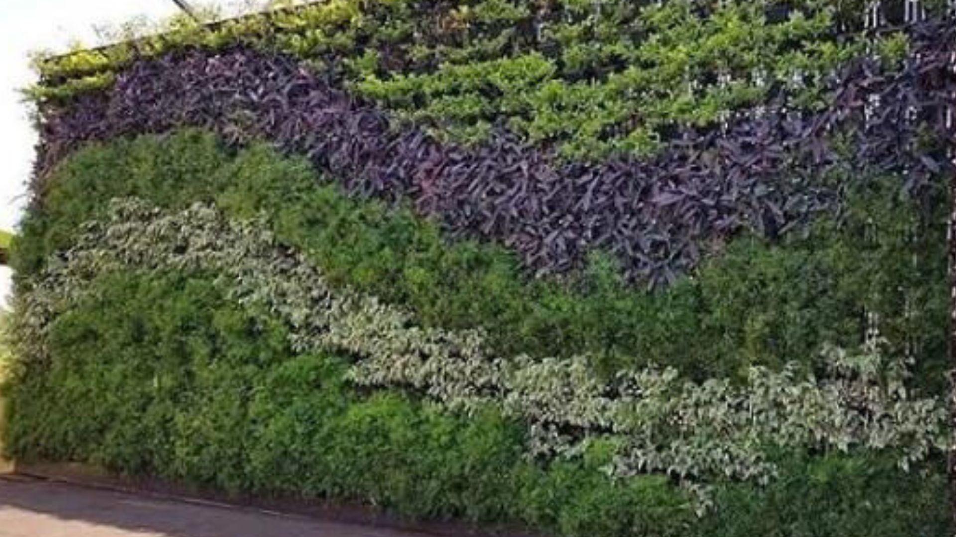 Bunga Vertical Garden