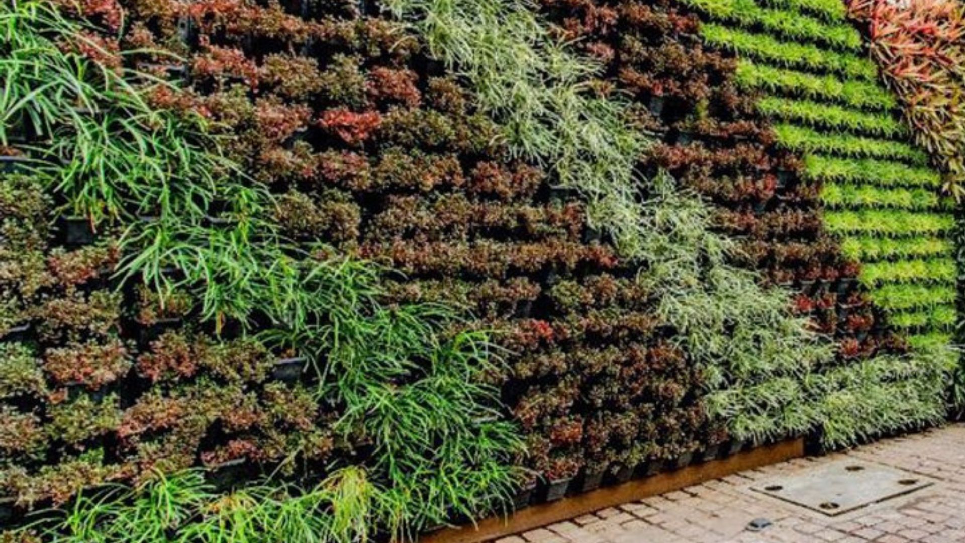 Untitled design (70)