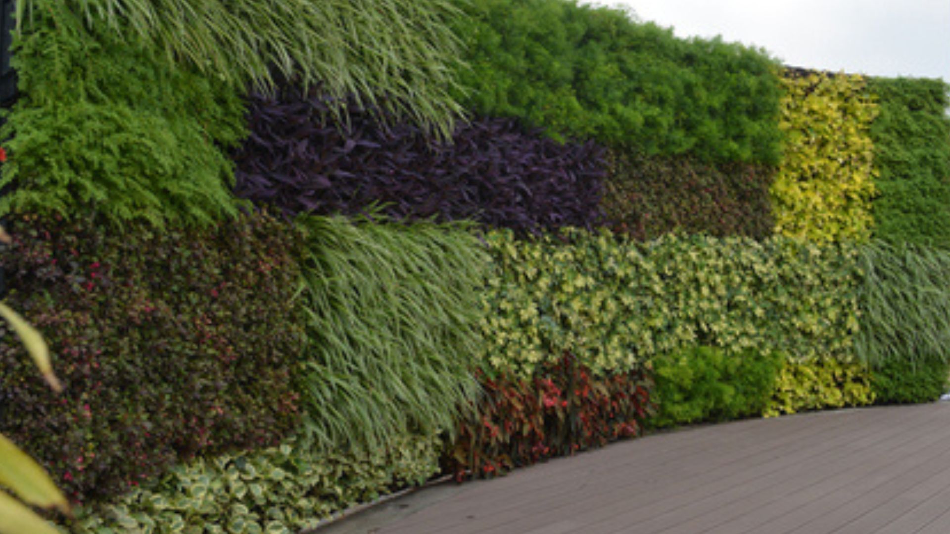 jasa vertical garden