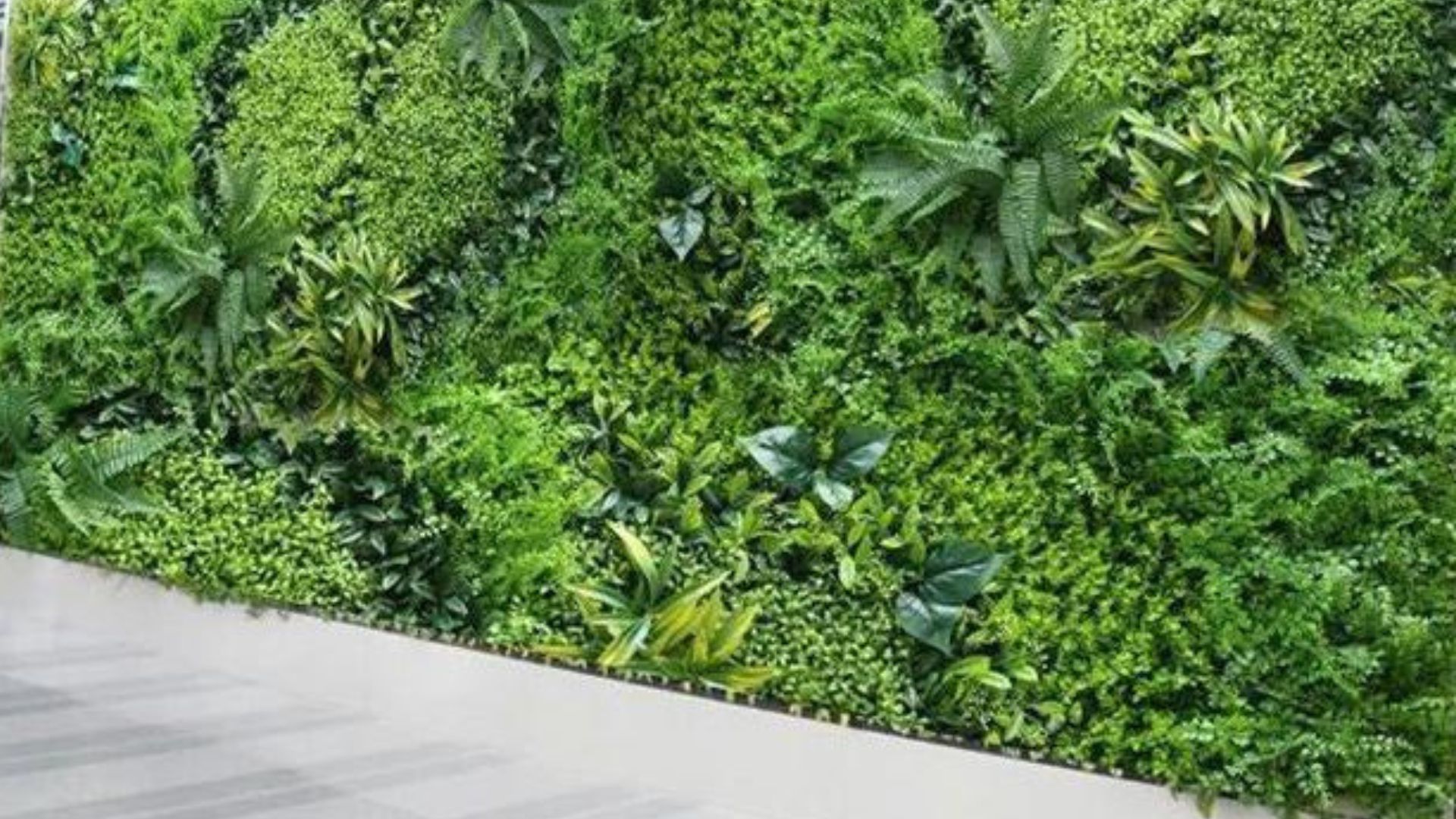 Untitled design (72)