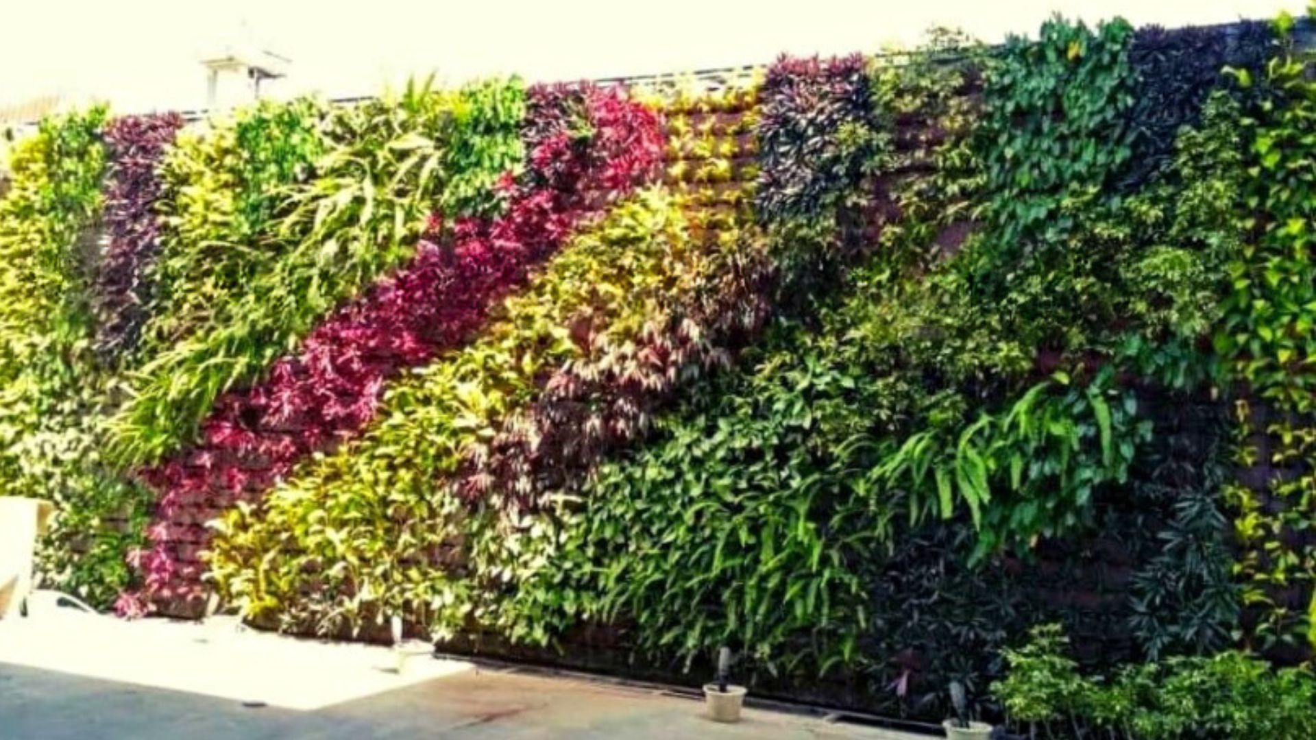 vertical garden