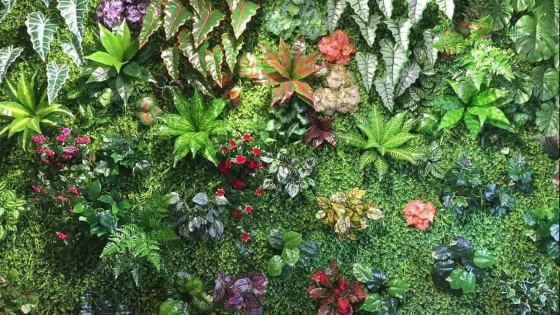 Vertical Garden Indoor