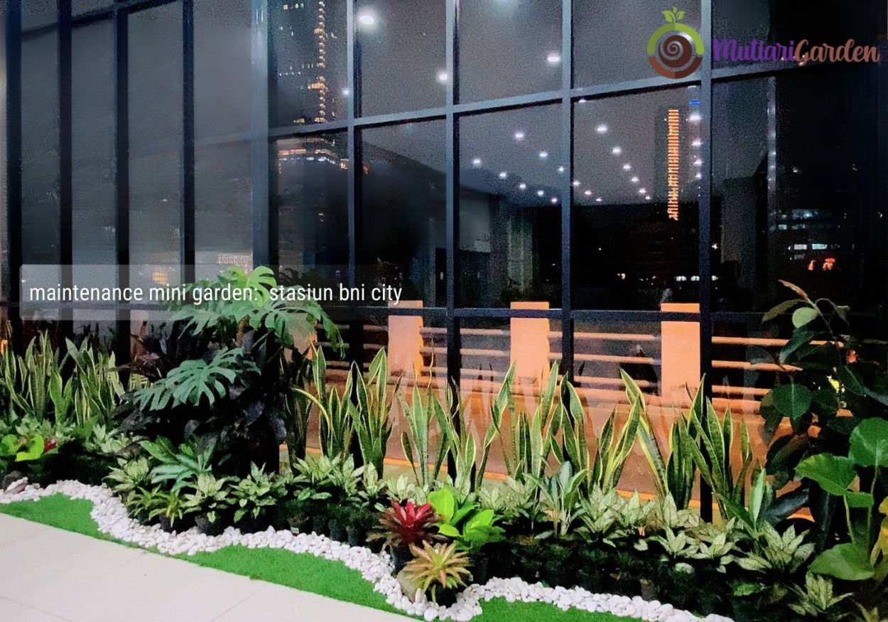 sewa tanaman hias untuk event