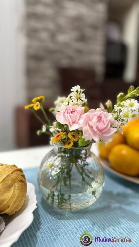 sewa tanaman hias untuk meja