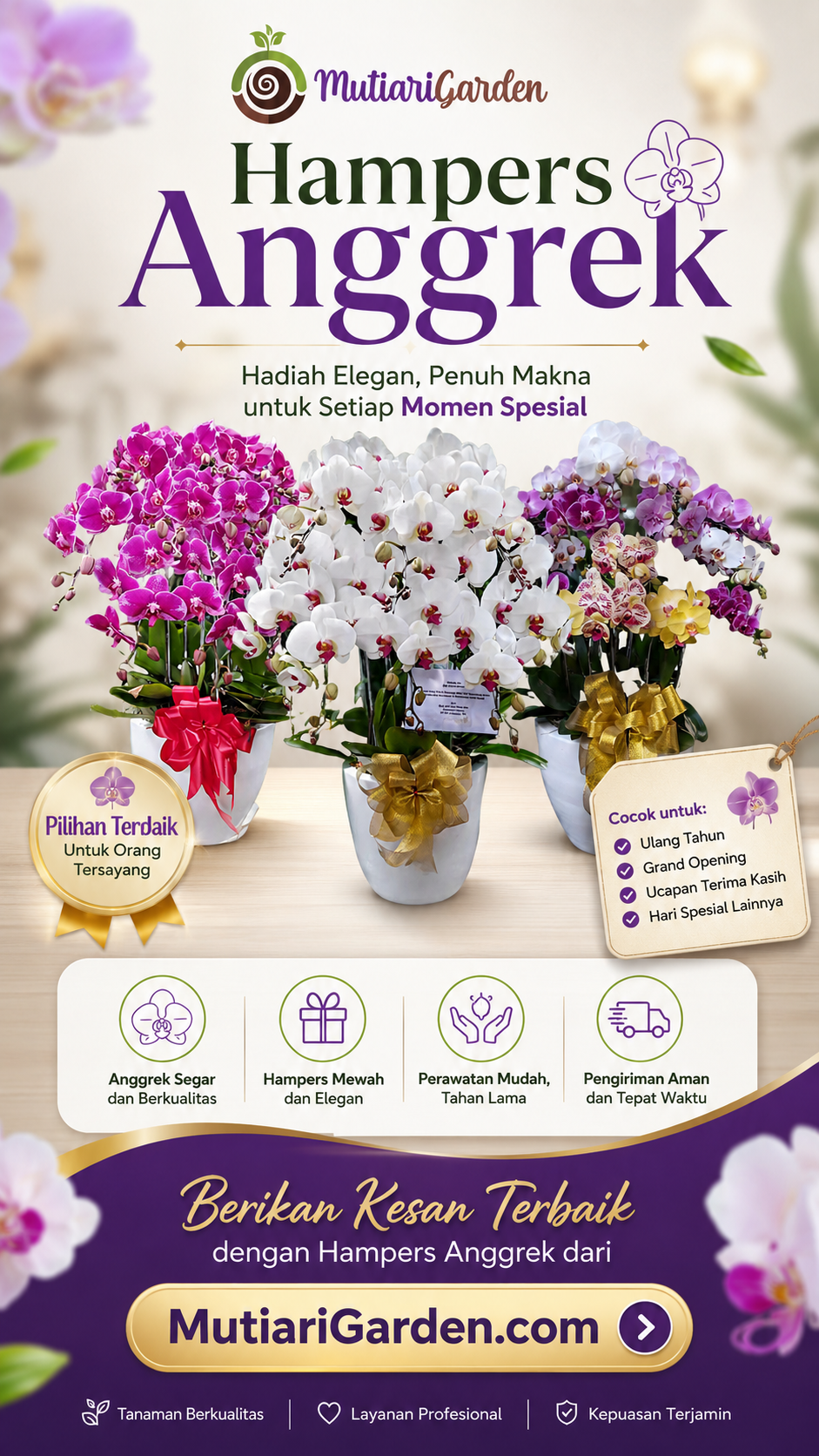 hampers anggrek