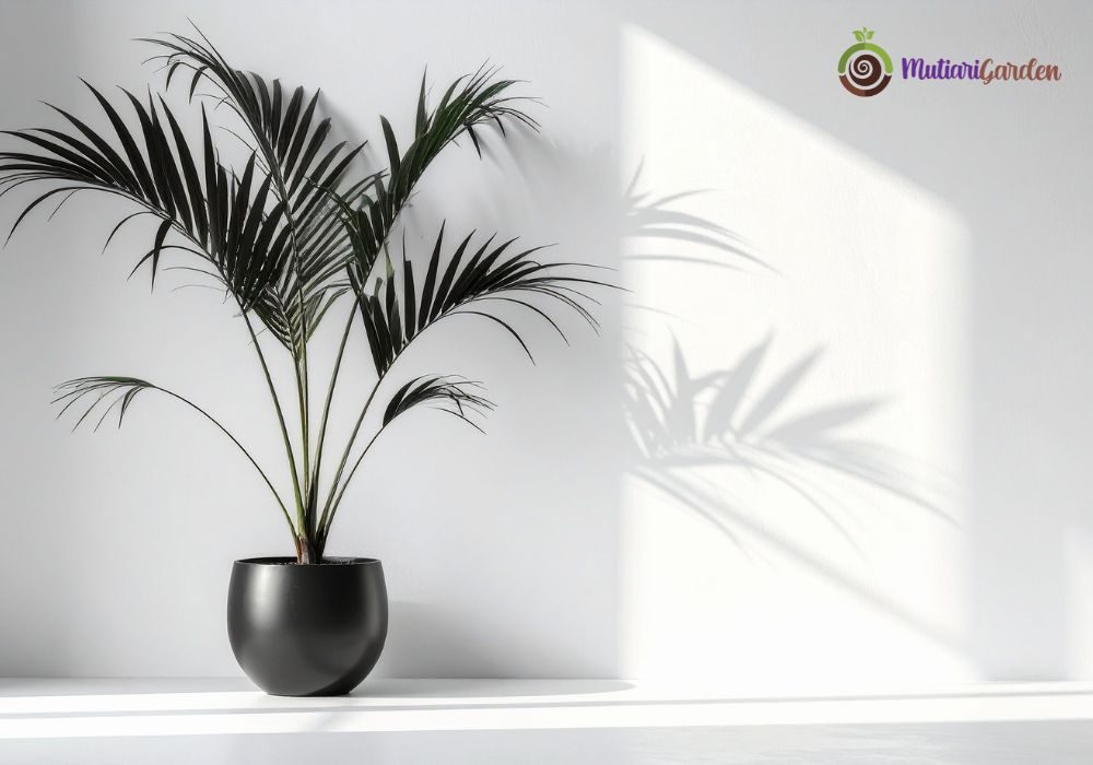 Sewa Tanaman Hias untuk Jakarta Mori Tower