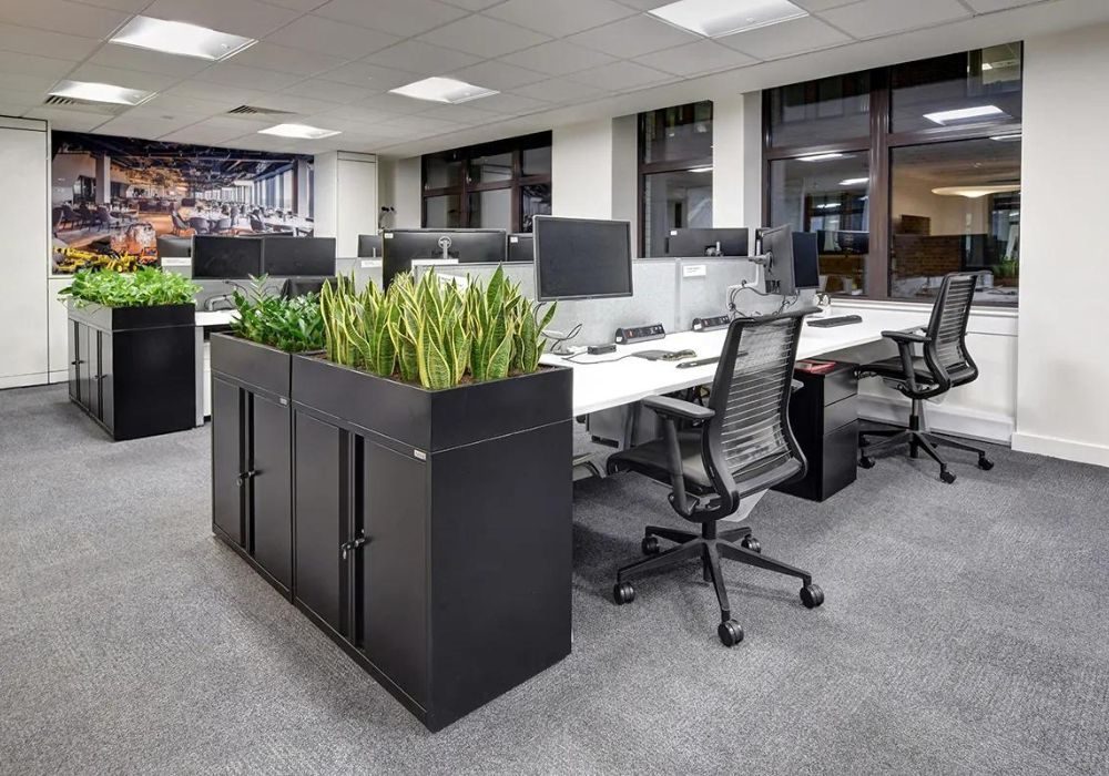 Untitled design (56)