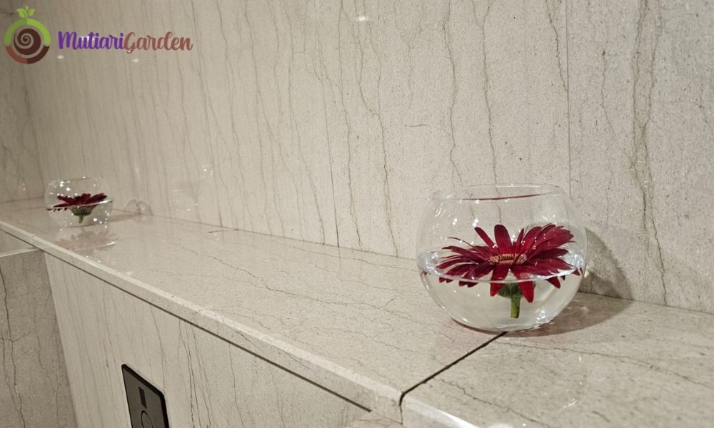 sewa tanaman untuk toilet